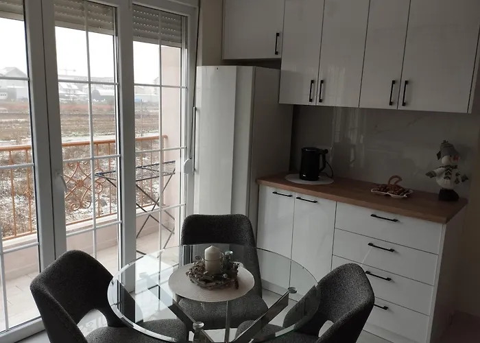 Vauda White 贝尔格莱德