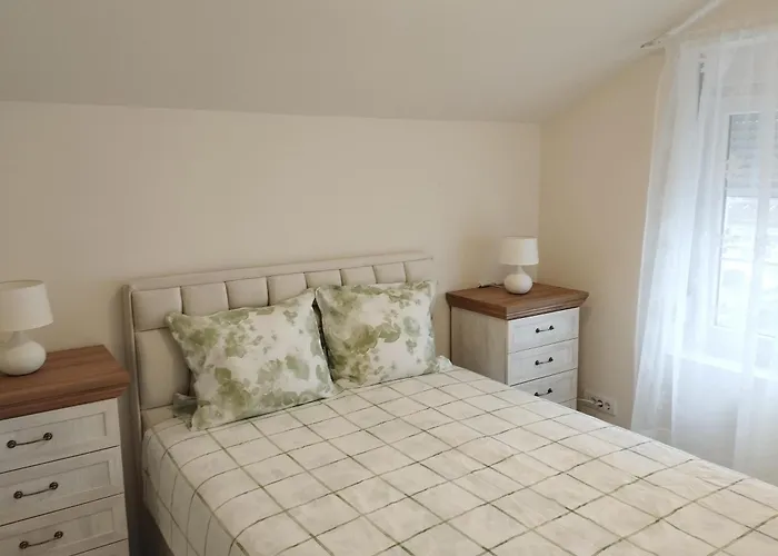 Vauda White 贝尔格莱德